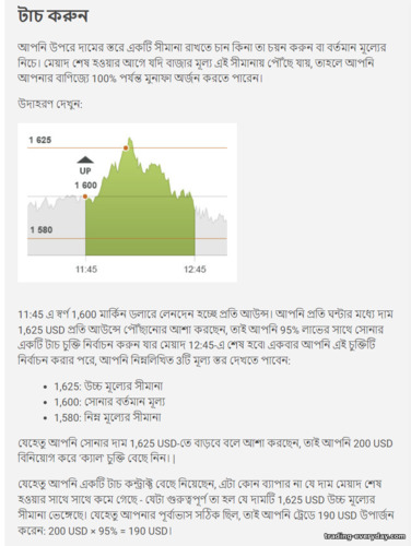 ওয়ান টাচ বাইনারি বিকল্প কাজের নীতি