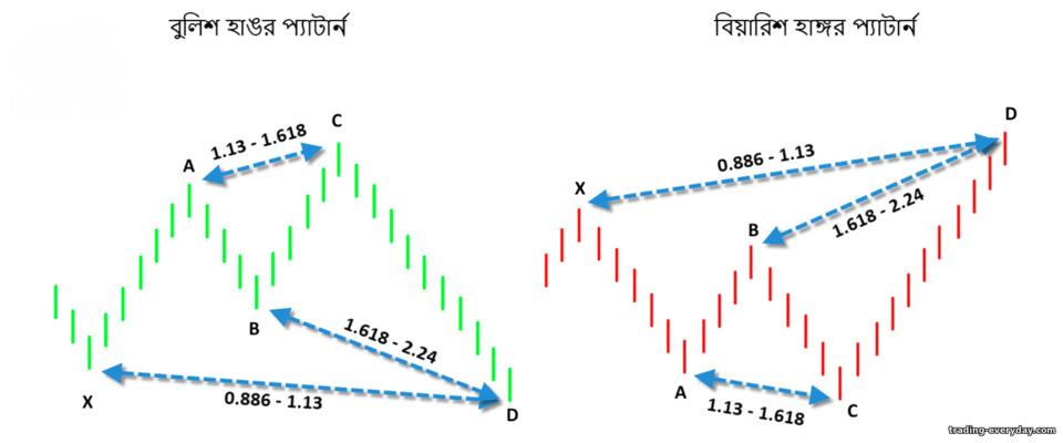 হাঙ্গর প্যাটার্ন হাঙ্গর প্যাটার্ন