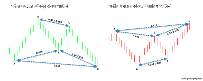 গভীর সমুদ্র কাঁকড়া প্যাটার্ন