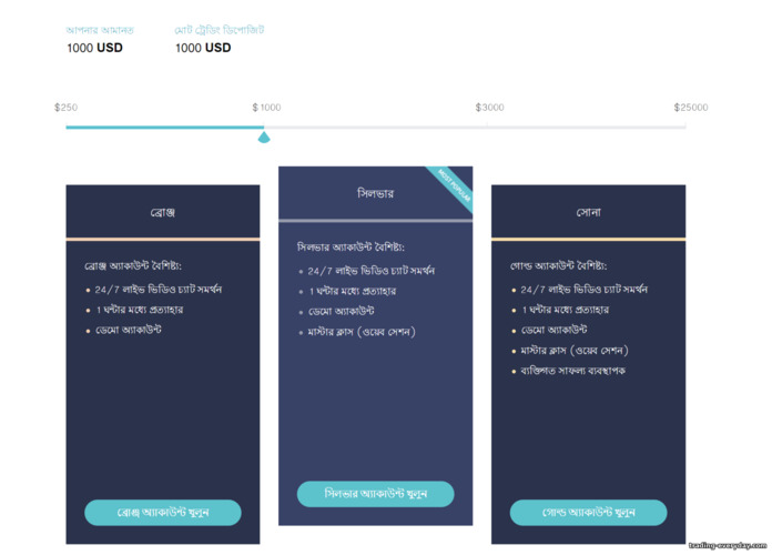 DaxBase ট্রেডিং অ্যাকাউন্টের ধরন